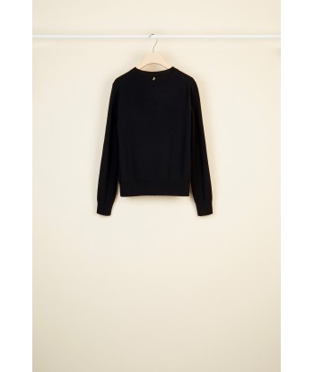 Merino wool and cashmere jumper Comparez et commandez 