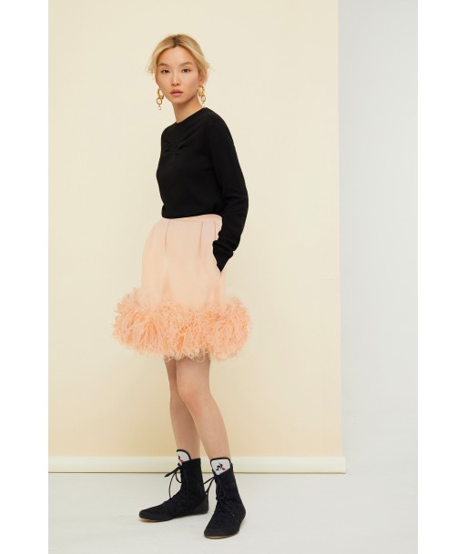 Feather-embellished pleated skirt la chaussure