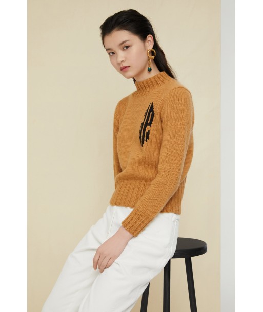 Cropped intarsia logo jumper Véritable concentré