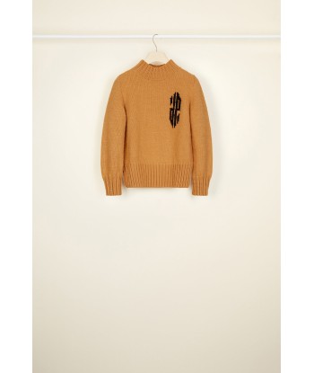 Cropped intarsia logo jumper Véritable concentré